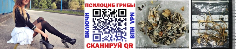 цены   Сокол  Псилоцибиновые грибы ЛСД 